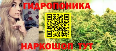 гидропоника Ливны