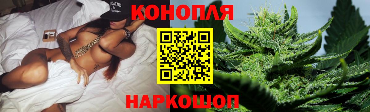 Марихуана сатива  Вход с VPN  Марихуана ГИДРОПОН  Конопля конопля  Вязьма 